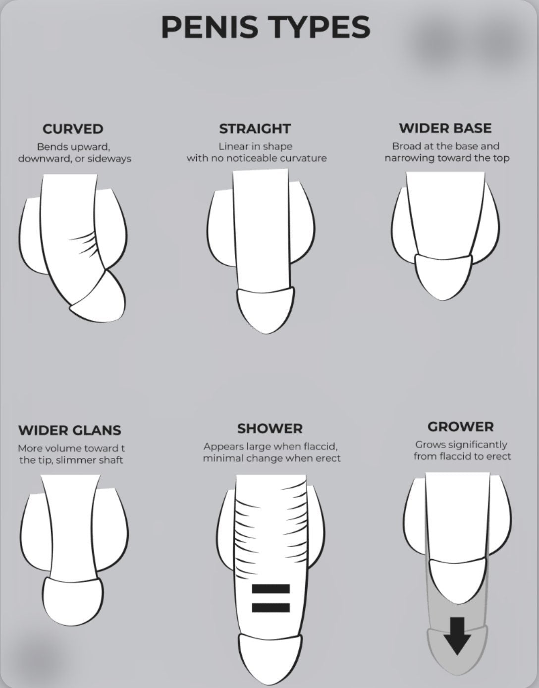 Curved or Straight? What’s your penis shape?